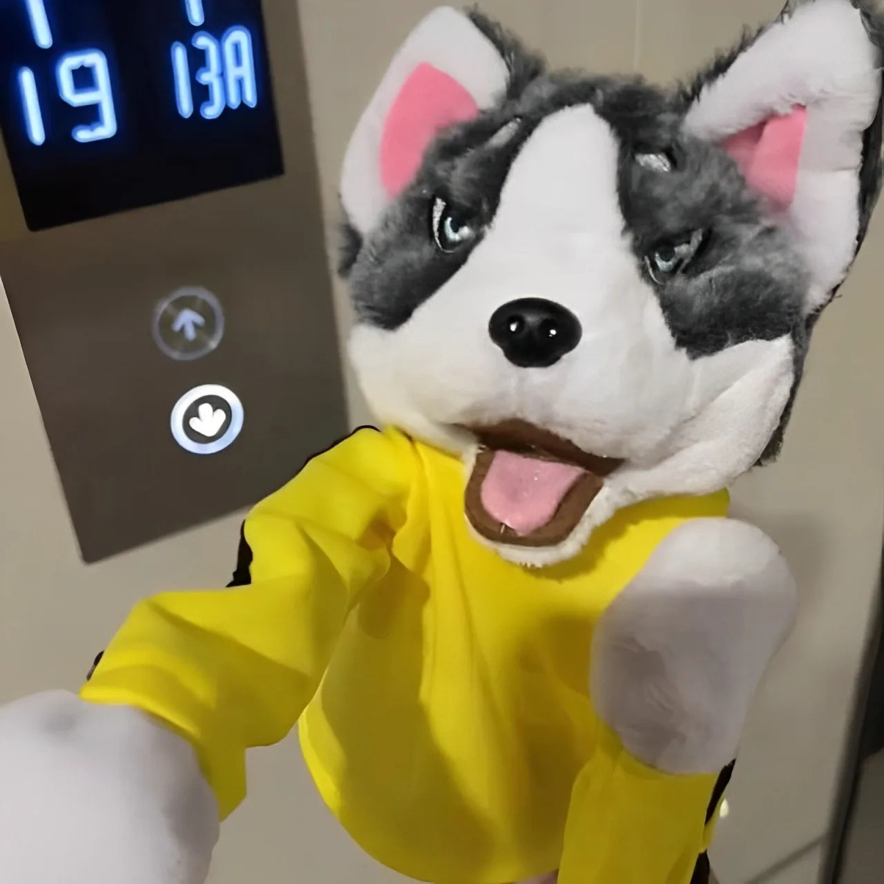 BopPaws Plushy